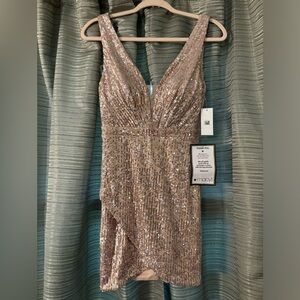 Sequin Mini Dress. ‘Crystal Doll.’ Color: Nude/Silver. Size: 3.